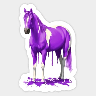 Funny Purple Pinto Dripping Wet Paint Horse Sticker